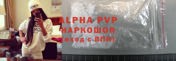 индика Баксан