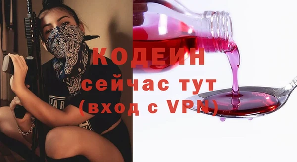 индика Баксан
