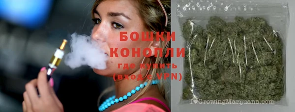 индика Баксан