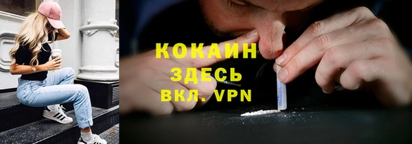 индика Баксан