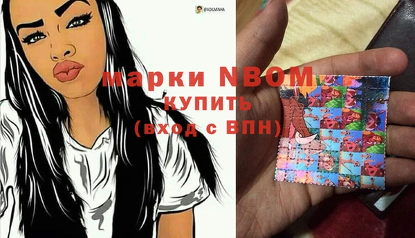 индика Баксан